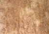 Planetree Burl