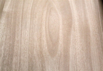 PRIMAVERA VENEER