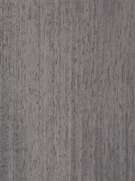 SILKWOOD STEEL GERY