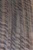 SMOKED EUCALYPTUS FIGURED VENEER