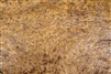 Thuya Burl/ Burr Veneer