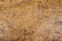 Thuya Burl/ Burr Veneer