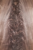 Walnut Crotch/ Curl Veneer