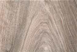 WALNUT EUROPEAN
