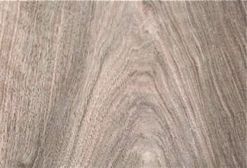 WALNUT EUROPEAN