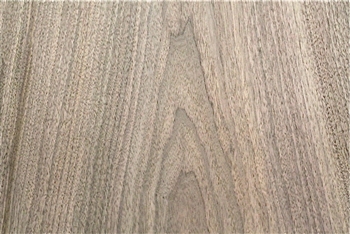 WALNUT USA