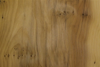 YEW TREE VENEER